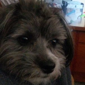 Meet your Posher, Rick